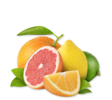 Tr&aacute;i C&acirc;y Nhập Khẩu 