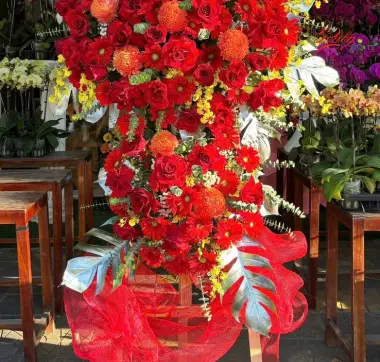Hoa Khai Trương 12