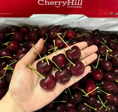 Cherry 500k/kg