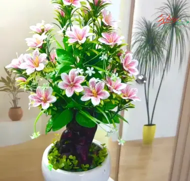 Chậu Hoa Ly ( Nhỏ)